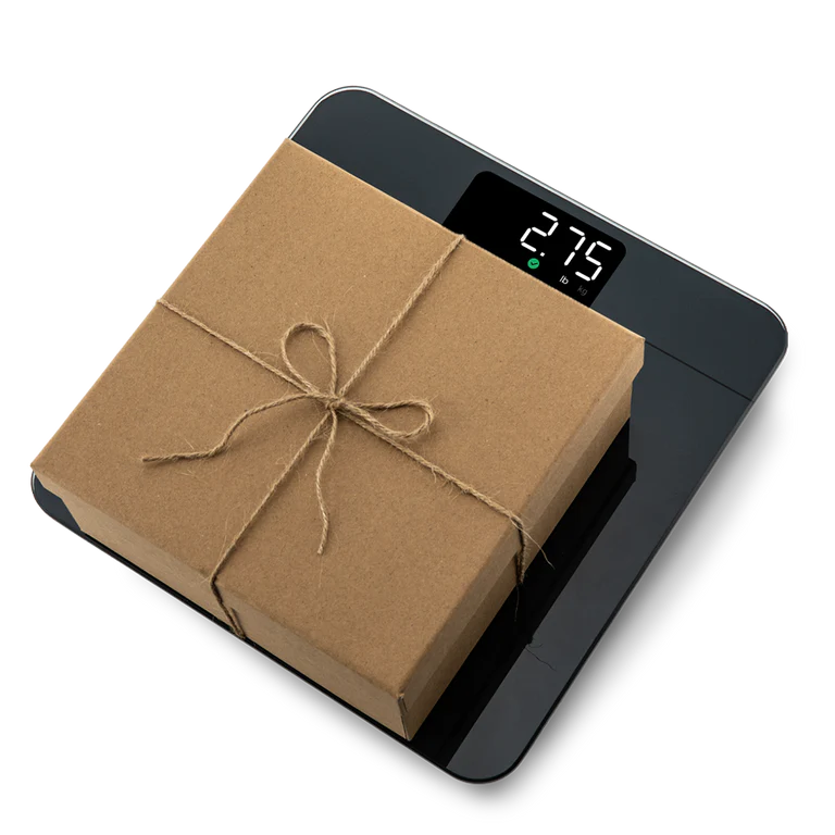 EBS-C121-KUS Digital Body Scale - Image 3